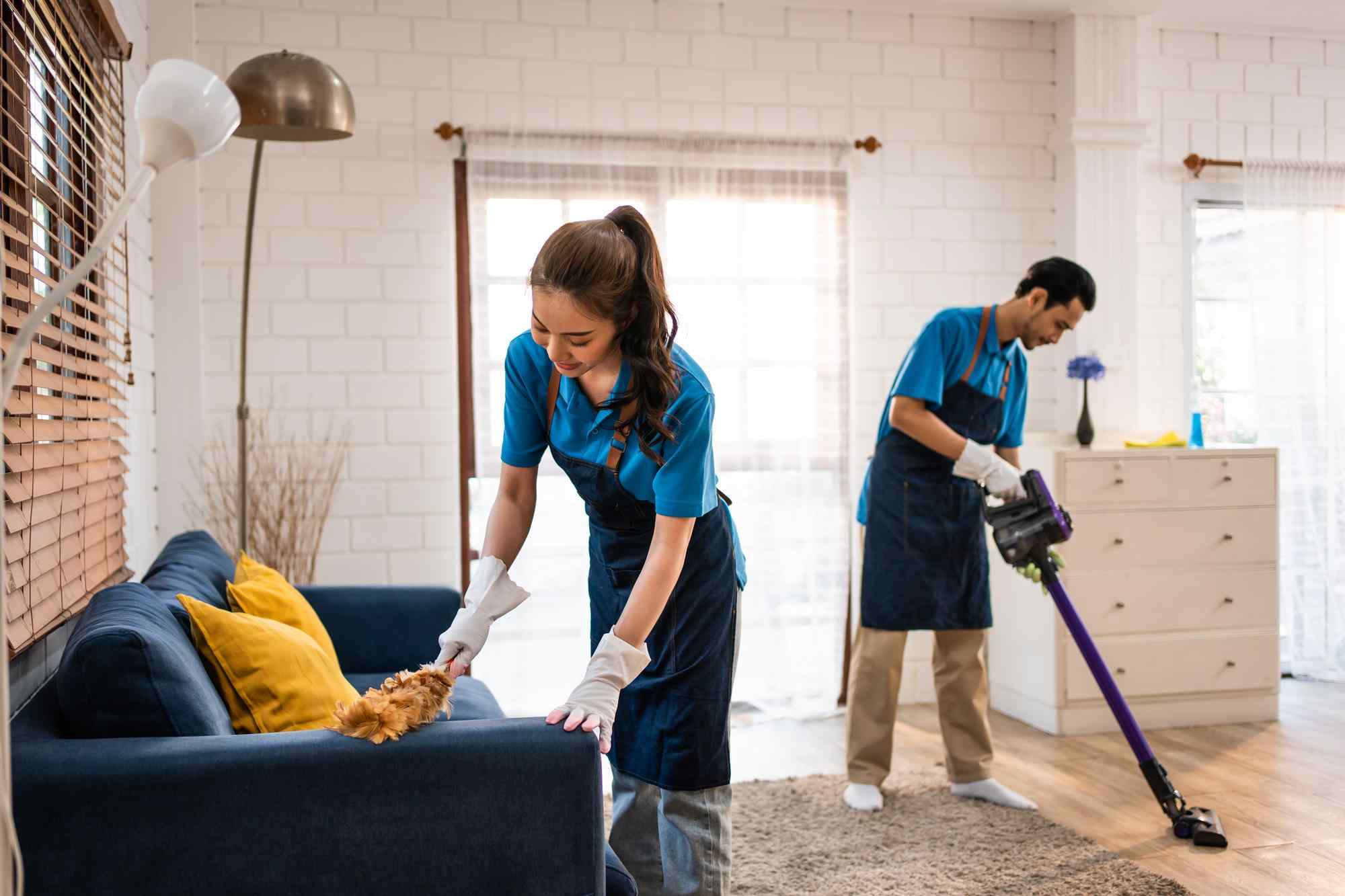 Domestic Cleaning