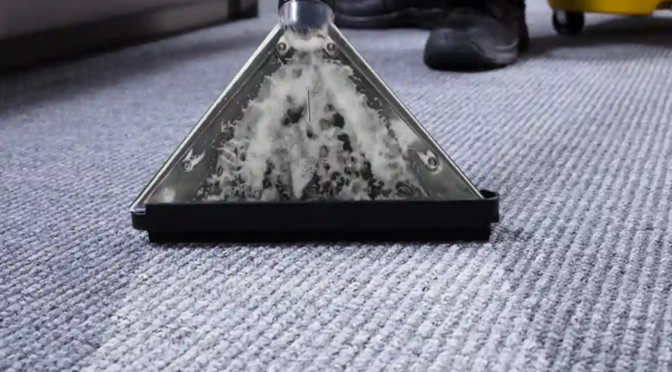 Professional carpet cleaning service in Canberra removing deep stains and restoring fresh carpets.