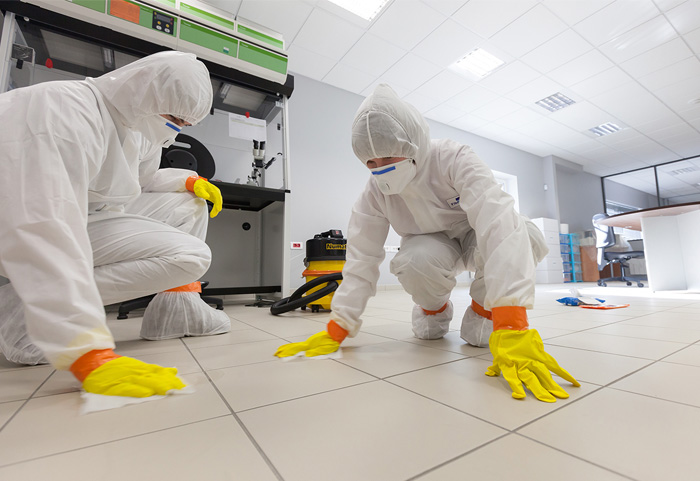 Specialist cleaners performing Biohazard Cleanup Canberra for a contaminated area