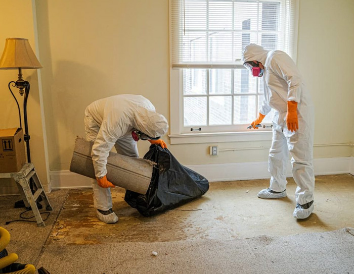 Experienced cleaners handling a sensitive crime scene