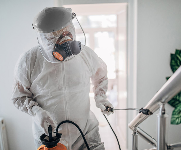 Professional team providing Trauma Scene Forensic Cleaning Canberra services